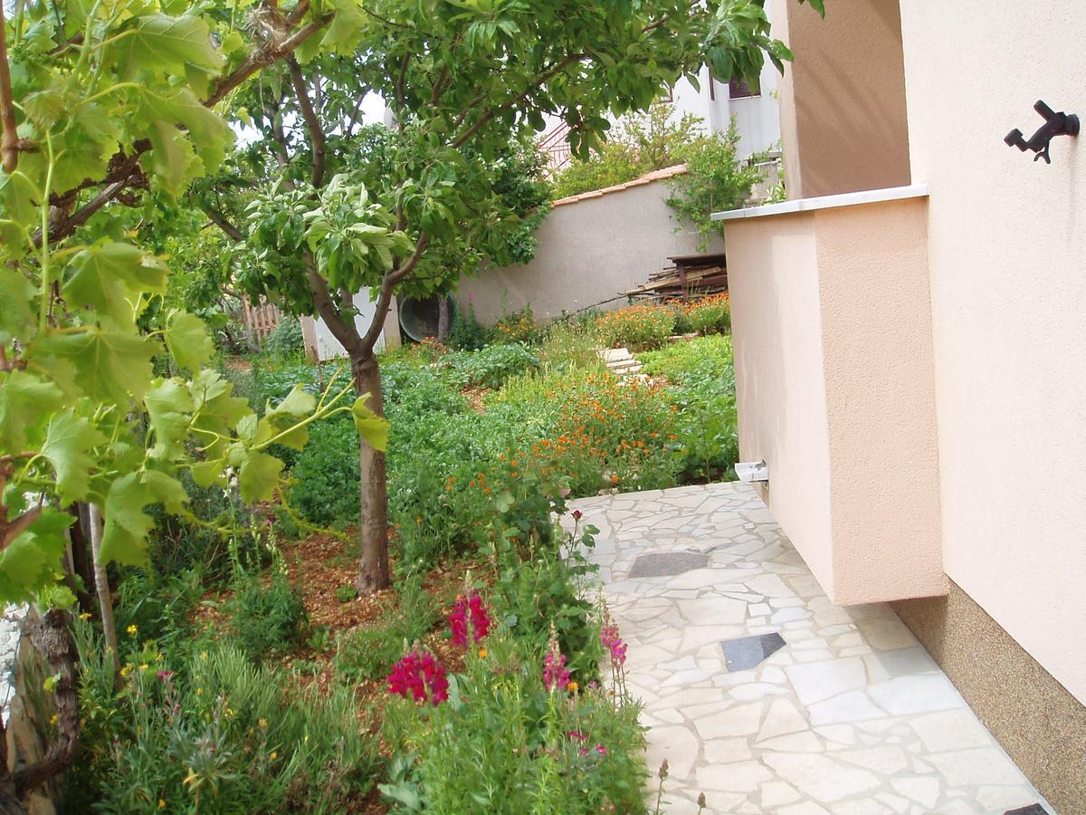 Apartment Orbanic *