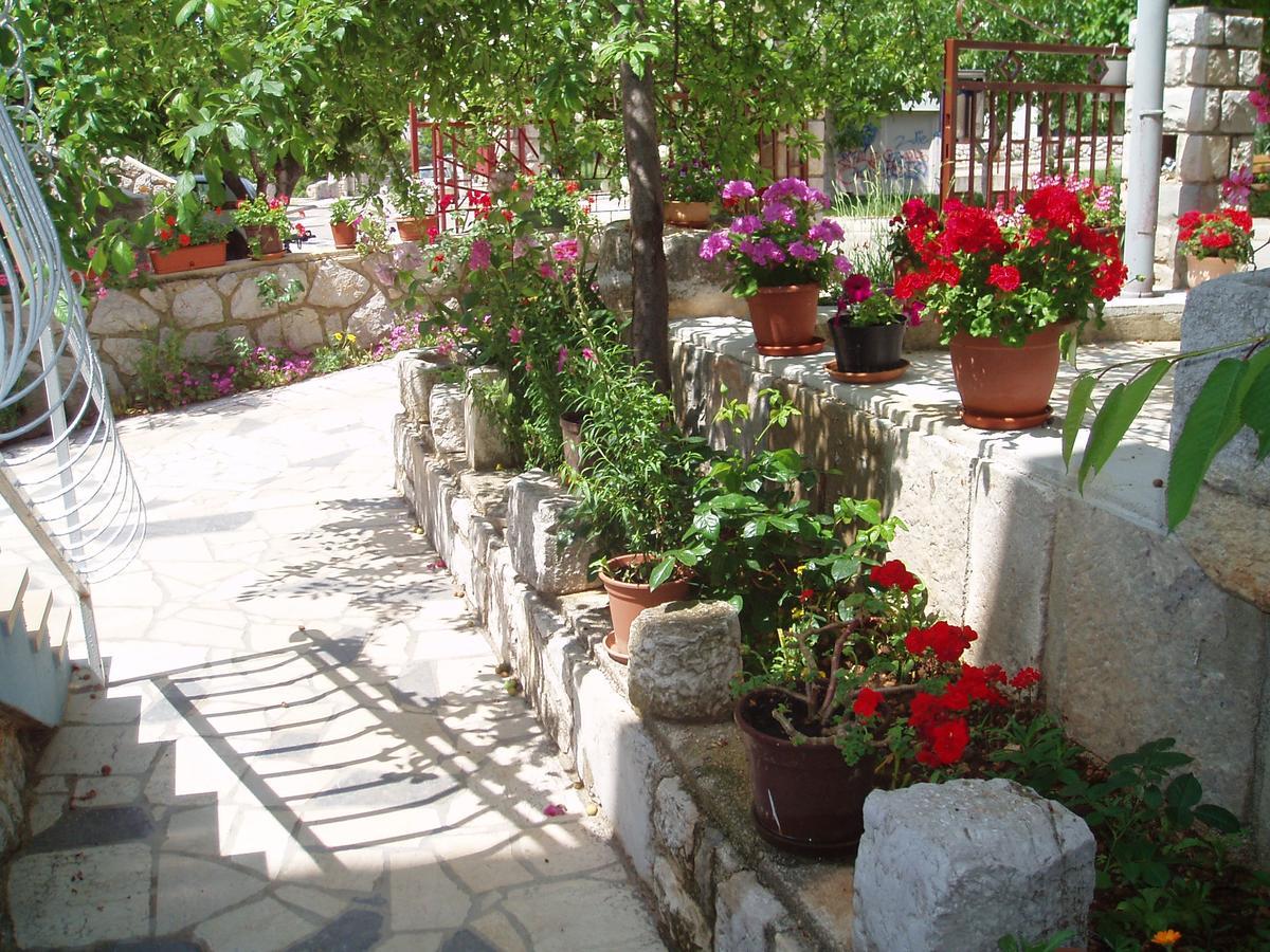 Orbanic Apartment