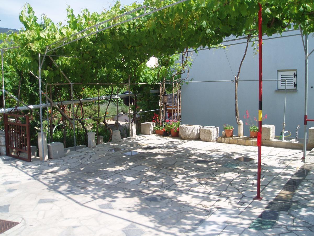 Apartment Orbanic