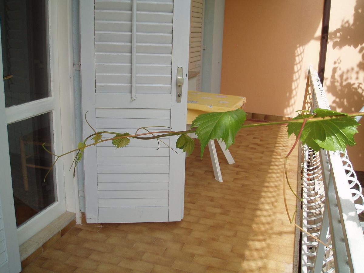 Orbanic Apartment *
