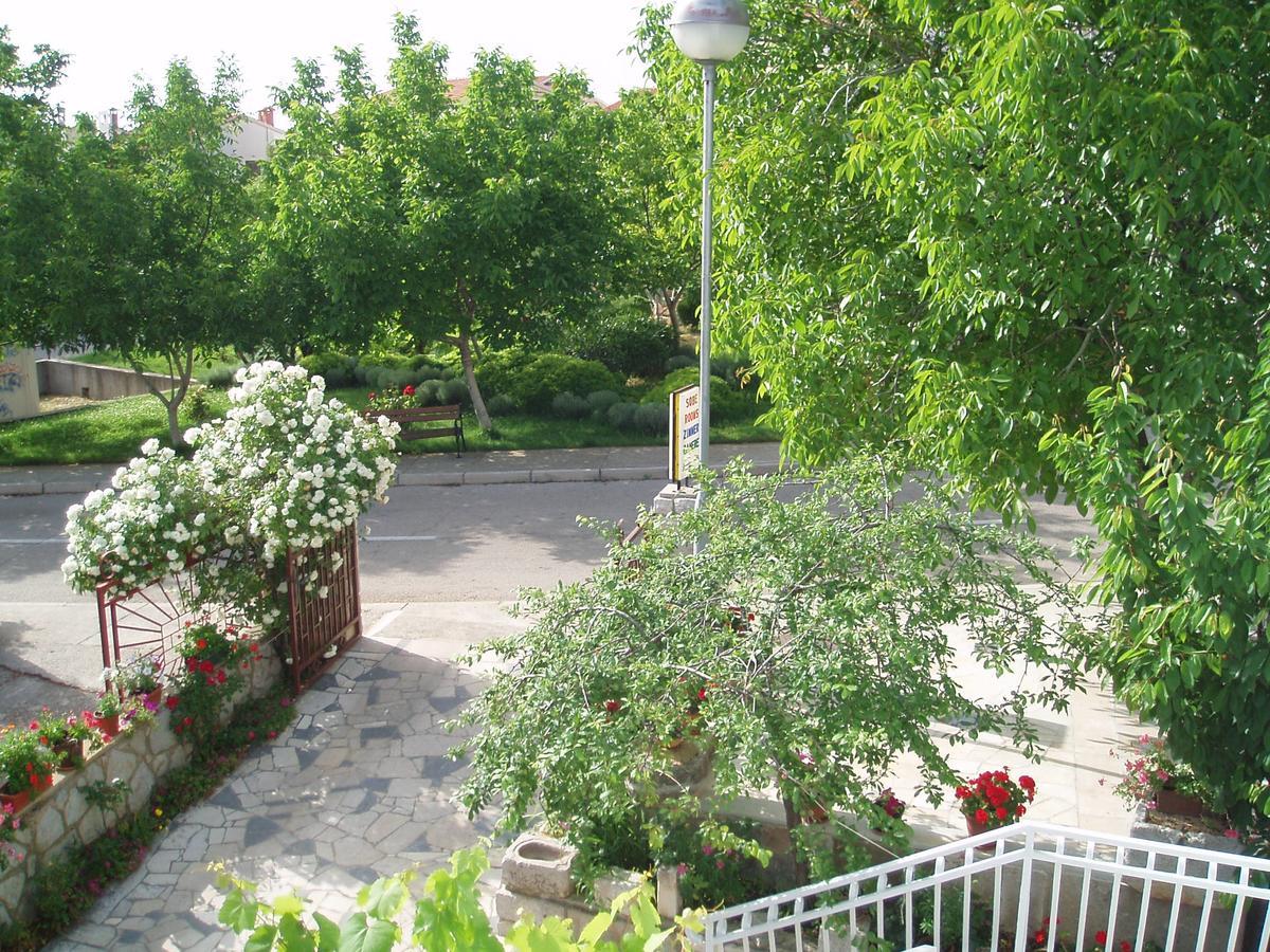 Orbanic Cres